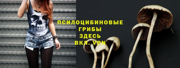 ешки Рославль