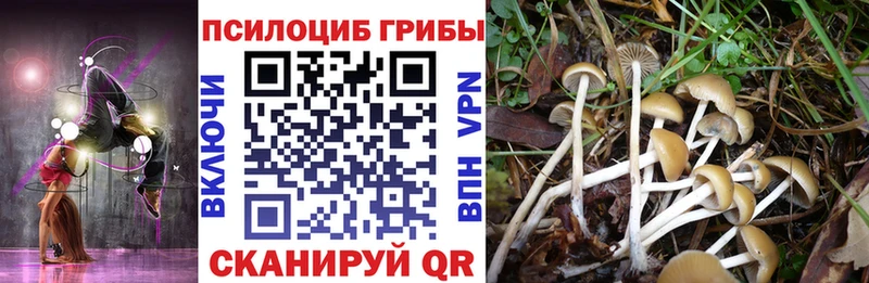 наркошоп  Фрязино  Галлюциногенные грибы мицелий 