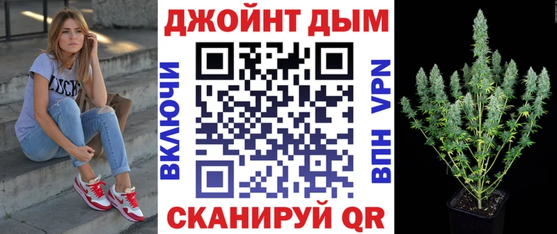 Канабис конопля  где найти   Фрязино 